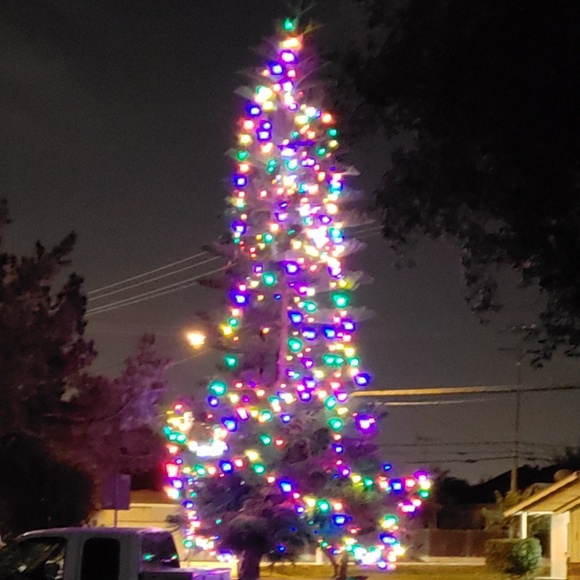 Meet your Posher, Knight's - Picture 2 of 2